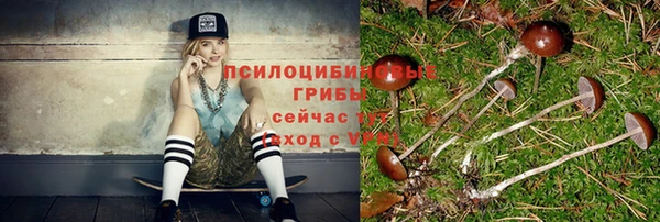 spice Абинск