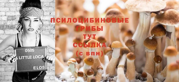 PSILOCYBIN Алексин