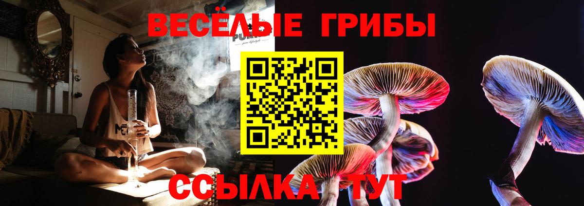 Псилоцибиновые грибы GOLDEN TEACHER  Галлюциногенные грибы прущие грибы  Павловский Посад  Вход с VPN 